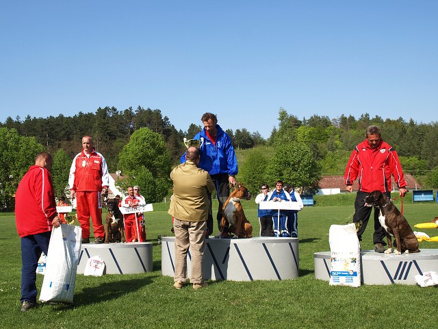 www.atibox.net * www.euroboxer.eu * www.boxergenealogia.eu